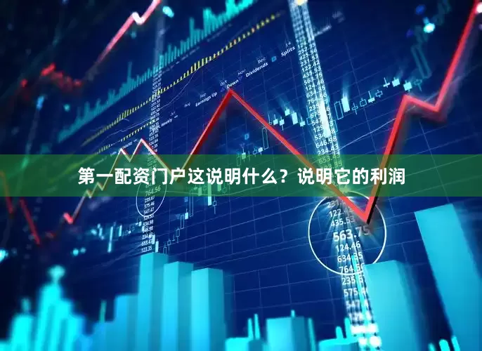 第一配资门户这说明什么？说明它的利润